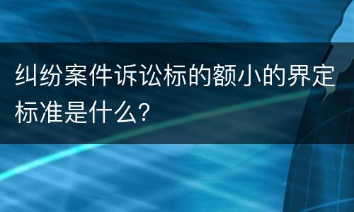 纠纷案件诉讼标的额小的界定标准是什么？