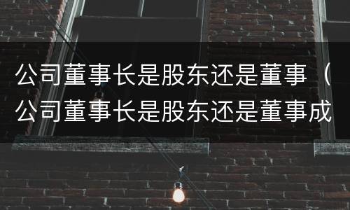 公司董事长是股东还是董事（公司董事长是股东还是董事成员）