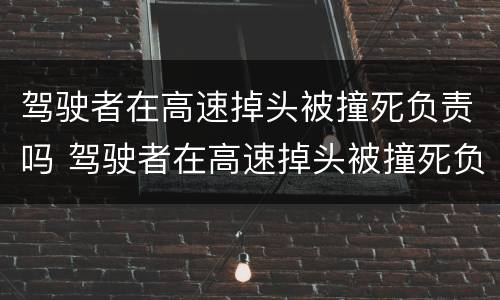 驾驶者在高速掉头被撞死负责吗 驾驶者在高速掉头被撞死负责吗