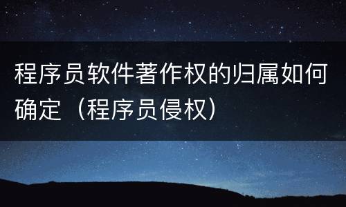 程序员软件著作权的归属如何确定（程序员侵权）