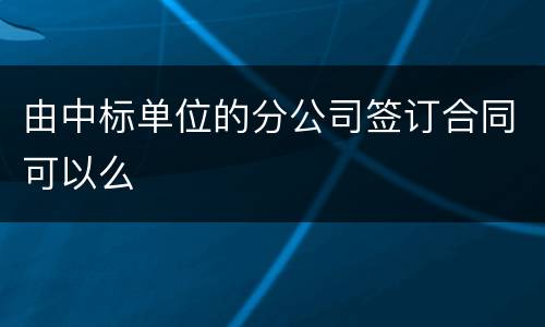 由中标单位的分公司签订合同可以么