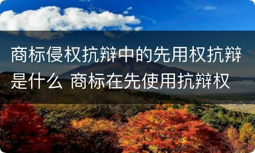 商标侵权抗辩中的先用权抗辩是什么 商标在先使用抗辩权