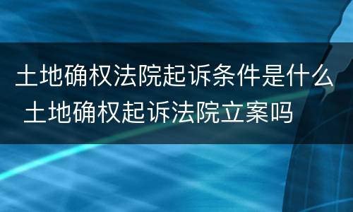 土地确权法院起诉条件是什么 土地确权起诉法院立案吗