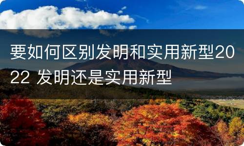 要如何区别发明和实用新型2022 发明还是实用新型