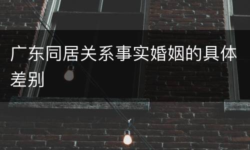 广东同居关系事实婚姻的具体差别