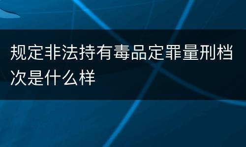 规定非法持有毒品定罪量刑档次是什么样