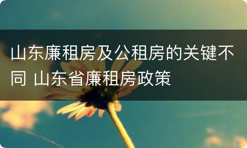 山东廉租房及公租房的关键不同 山东省廉租房政策