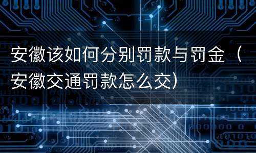 安徽该如何分别罚款与罚金（安徽交通罚款怎么交）