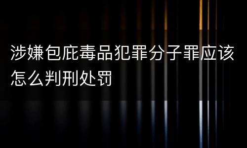 涉嫌包庇毒品犯罪分子罪应该怎么判刑处罚