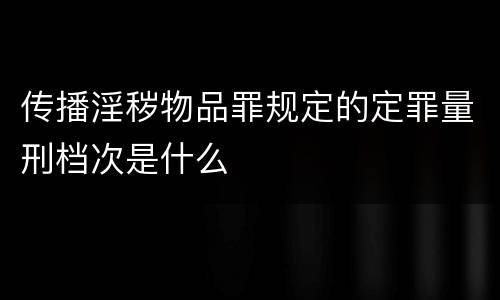 传播淫秽物品罪规定的定罪量刑档次是什么