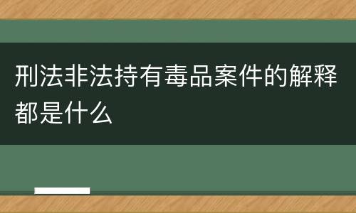 刑法非法持有毒品案件的解释都是什么