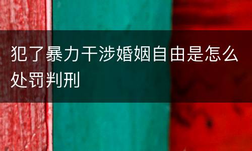 犯了暴力干涉婚姻自由是怎么处罚判刑