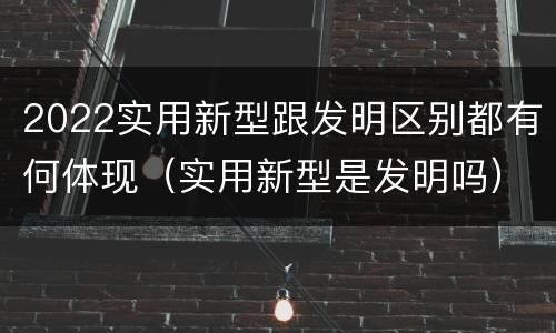 2022实用新型跟发明区别都有何体现（实用新型是发明吗）