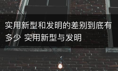 实用新型和发明的差别到底有多少 实用新型与发明