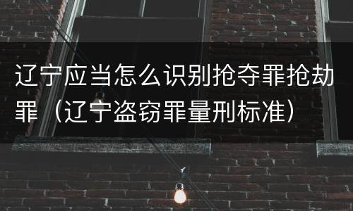 辽宁应当怎么识别抢夺罪抢劫罪（辽宁盗窃罪量刑标准）