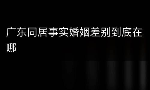 广东同居事实婚姻差别到底在哪