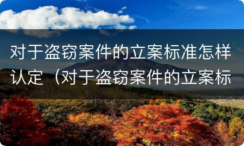 对于盗窃案件的立案标准怎样认定（对于盗窃案件的立案标准怎样认定是否合理）