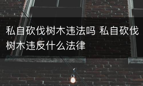 私自砍伐树木违法吗 私自砍伐树木违反什么法律