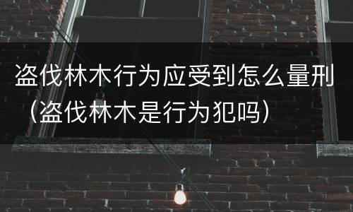 盗伐林木行为应受到怎么量刑（盗伐林木是行为犯吗）