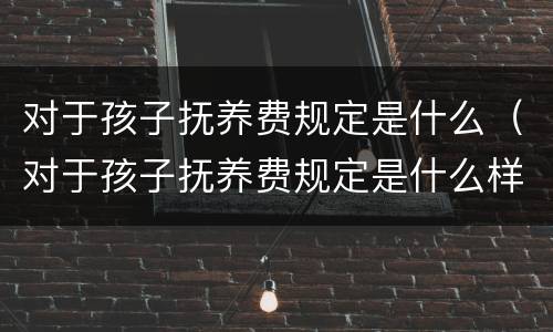 对于孩子抚养费规定是什么（对于孩子抚养费规定是什么样的）