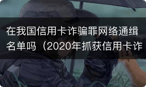 在我国信用卡诈骗罪网络通缉名单吗（2020年抓获信用卡诈骗）