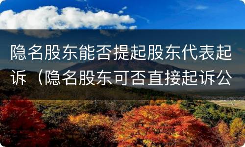 隐名股东能否提起股东代表起诉（隐名股东可否直接起诉公司）