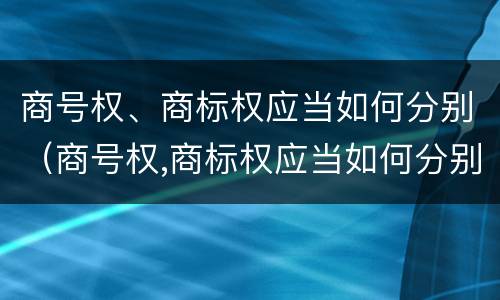 商号权、商标权应当如何分别（商号权,商标权应当如何分别使用）