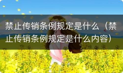 禁止传销条例规定是什么（禁止传销条例规定是什么内容）