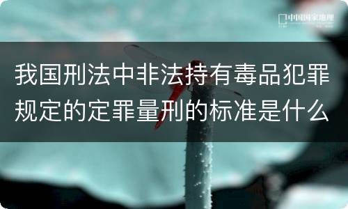 我国刑法中非法持有毒品犯罪规定的定罪量刑的标准是什么