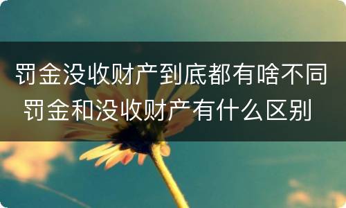 罚金没收财产到底都有啥不同 罚金和没收财产有什么区别