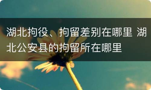 湖北拘役、拘留差别在哪里 湖北公安县的拘留所在哪里