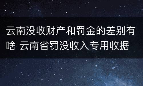 云南没收财产和罚金的差别有啥 云南省罚没收入专用收据