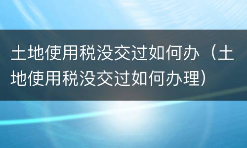 土地使用税没交过如何办（土地使用税没交过如何办理）