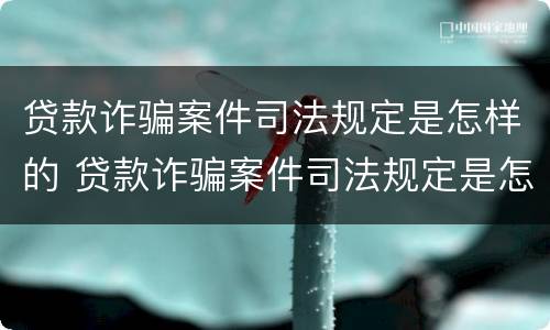 贷款诈骗案件司法规定是怎样的 贷款诈骗案件司法规定是怎样的呢