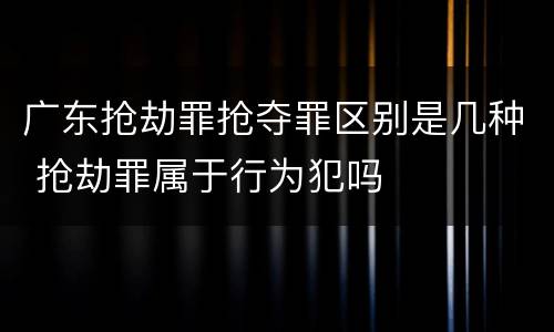 广东抢劫罪抢夺罪区别是几种 抢劫罪属于行为犯吗