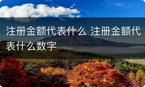 注册金额代表什么 注册金额代表什么数字