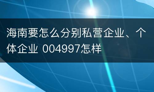 海南要怎么分别私营企业、个体企业 004997怎样