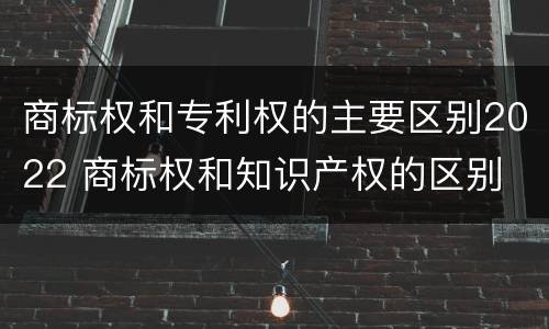 商标权和专利权的主要区别2022 商标权和知识产权的区别