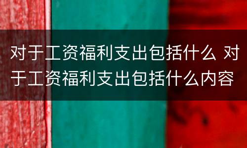 对于工资福利支出包括什么 对于工资福利支出包括什么内容