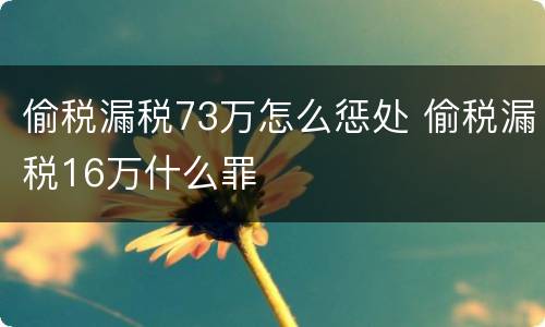 偷税漏税73万怎么惩处 偷税漏税16万什么罪