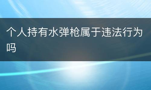 个人持有水弹枪属于违法行为吗