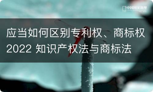 应当如何区别专利权、商标权2022 知识产权法与商标法