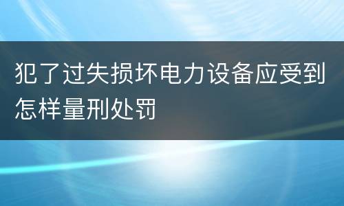 犯了过失损坏电力设备应受到怎样量刑处罚