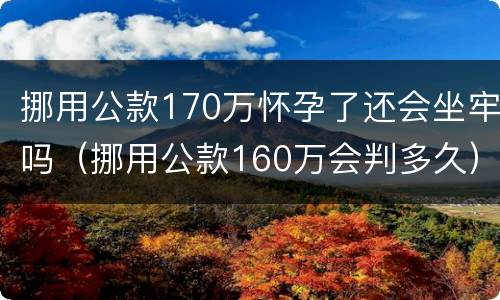 挪用公款170万怀孕了还会坐牢吗（挪用公款160万会判多久）