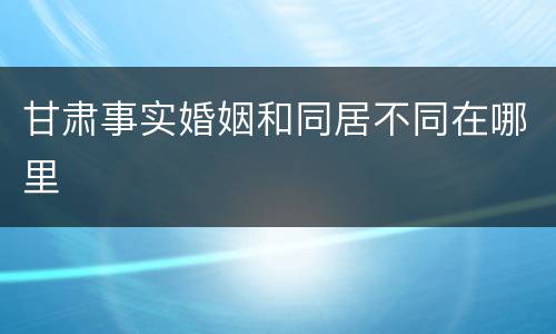 甘肃事实婚姻和同居不同在哪里