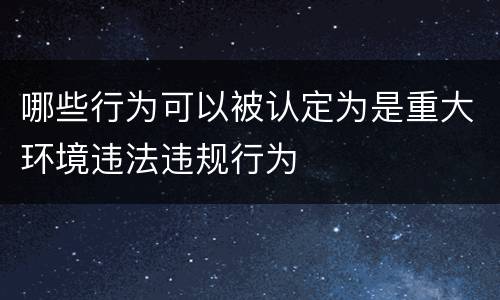 哪些行为可以被认定为是重大环境违法违规行为