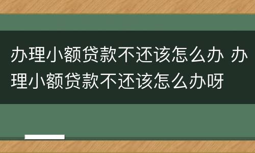 办理小额贷款不还该怎么办 办理小额贷款不还该怎么办呀