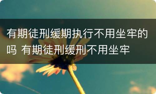 有期徒刑缓期执行不用坐牢的吗 有期徒刑缓刑不用坐牢