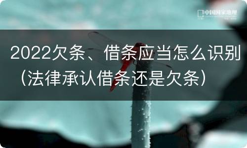 2022欠条、借条应当怎么识别（法律承认借条还是欠条）