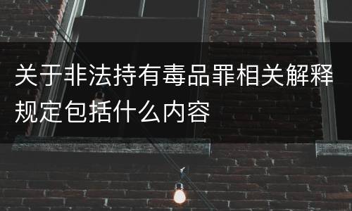 关于非法持有毒品罪相关解释规定包括什么内容